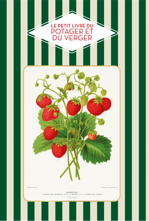 Buch Petit livre du potager et du verger Véronique Barrau