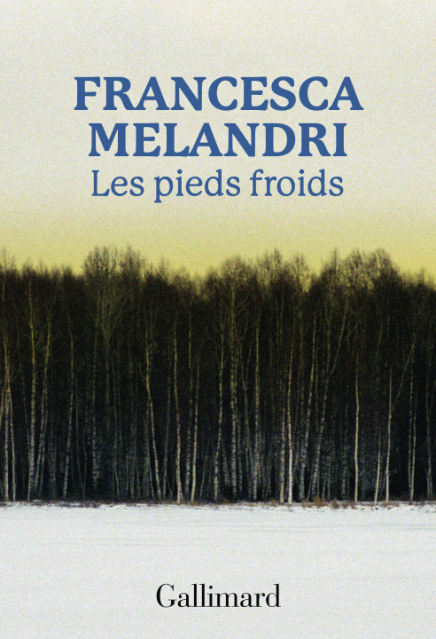 Kniha Piedi Freddi Melandri