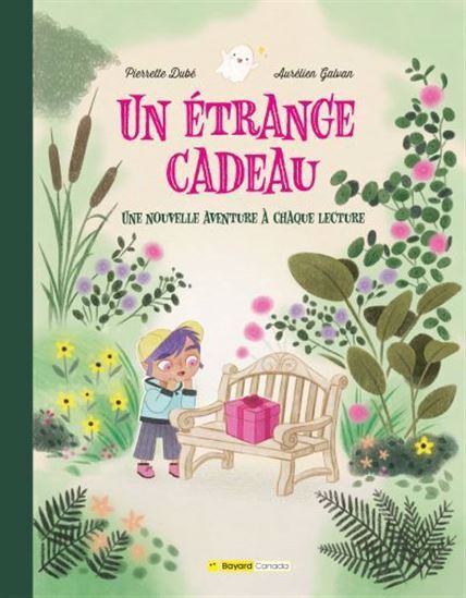 Kniha UN ETRANGE CADEAU. UNE NOUVELLE AVENTURE A CHAQUE LECTURE DUBE PIERRETTE