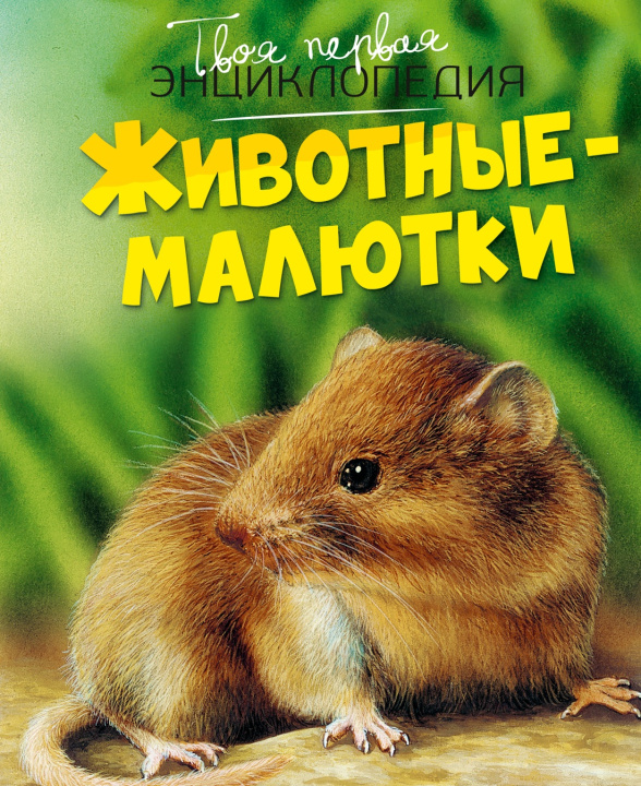 Книга Животные-малютки Ж. Дельфур