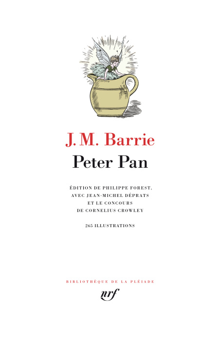 Kniha Peter Pan (tp) Barrie