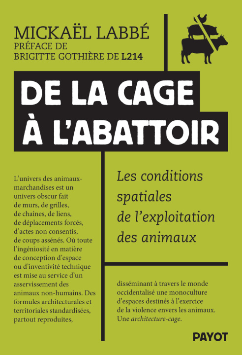 Kniha L'angle mort (TP) Labbé