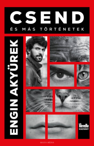 Kniha Csend Engin Akyürek