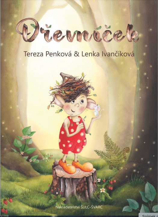 Kniha Dřevníček Tereza Penková