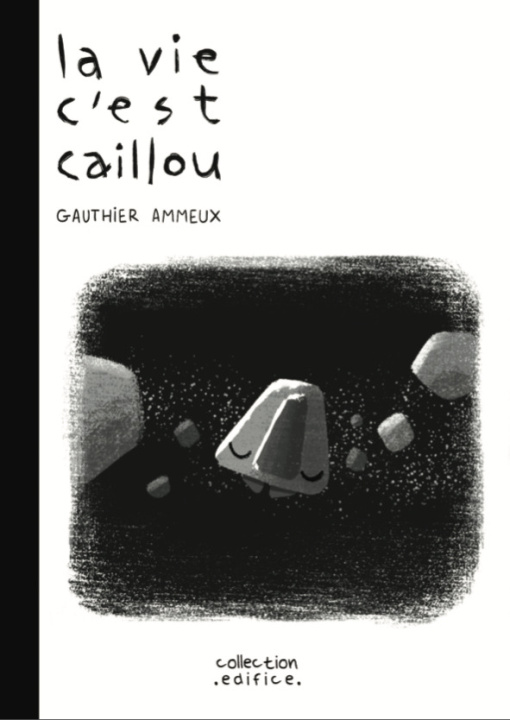 Kniha La vie c'est caillou 