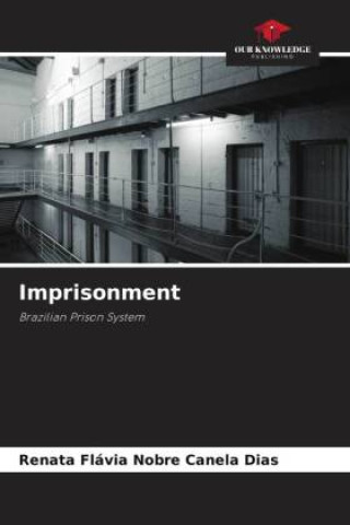 Kniha Imprisonment Renata Flávia Nobre Canela Dias