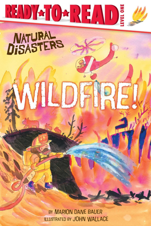 Kniha WILDFIRE BAUER MARION DANE