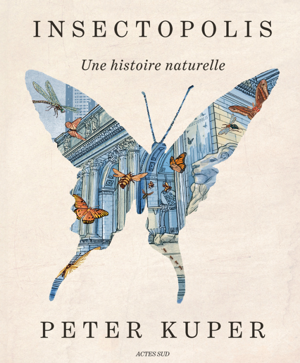 Carte Insectopolis Kuper