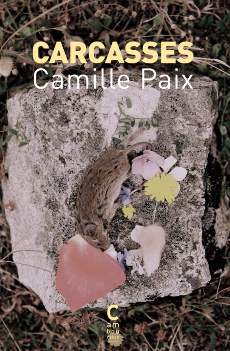 Book Carcasses Paix