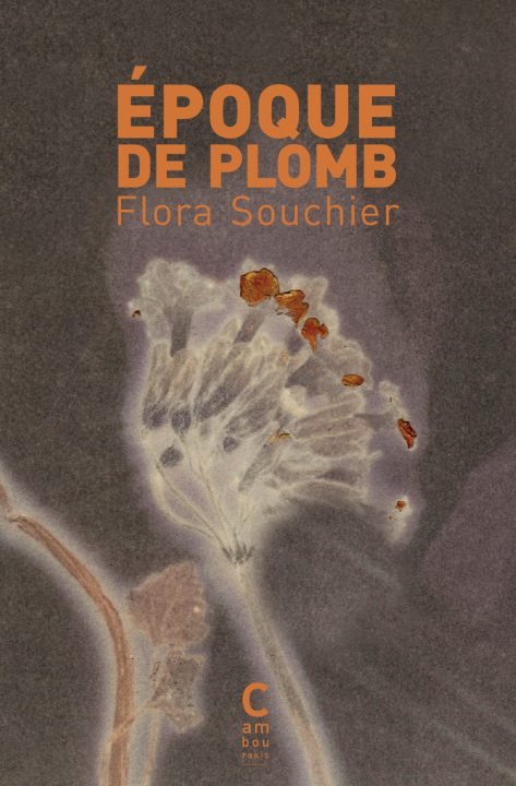 Kniha Époque de plomb Souchier