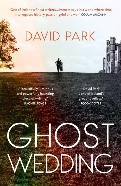 Kniha Ghost Wedding David Park