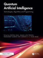 Quantum Artificial Intelligence