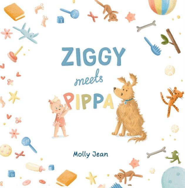 Kniha Ziggy Meets Pippa Molly Jean