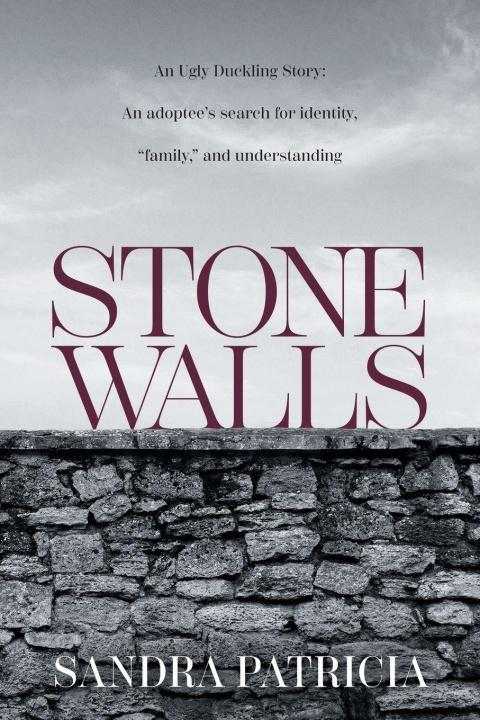 Kniha Stone Walls Sandra Patricia