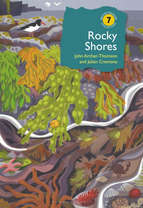 Book Rocky Shores Julian Cremona