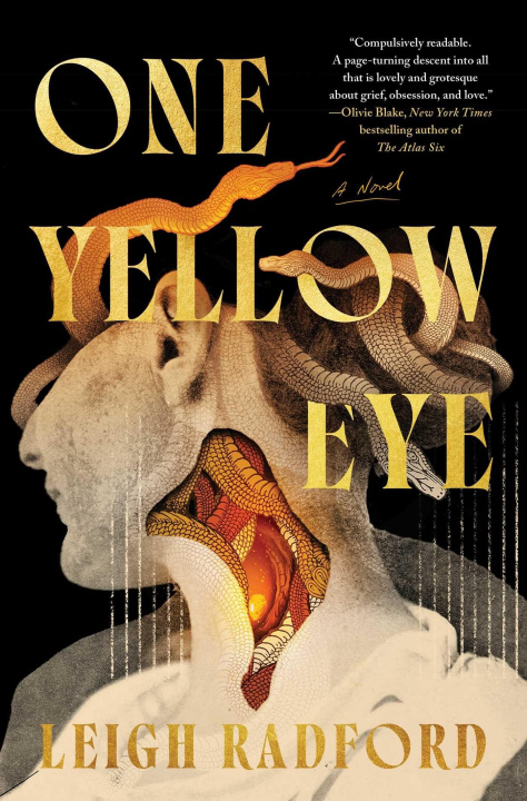 Book One Yellow Eye RADFORD LEIGH