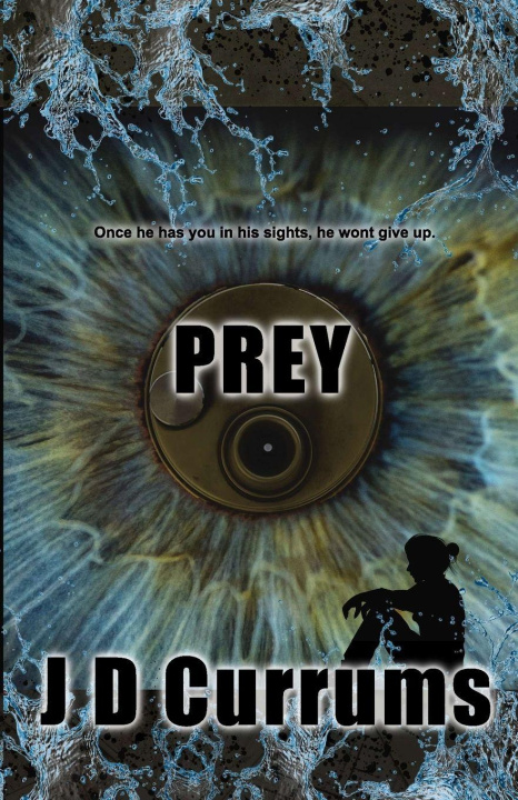 Kniha Prey J D Currums