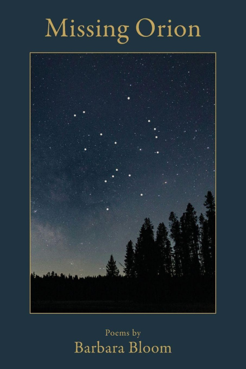 Knjiga Missing Orion Barbara Bloom