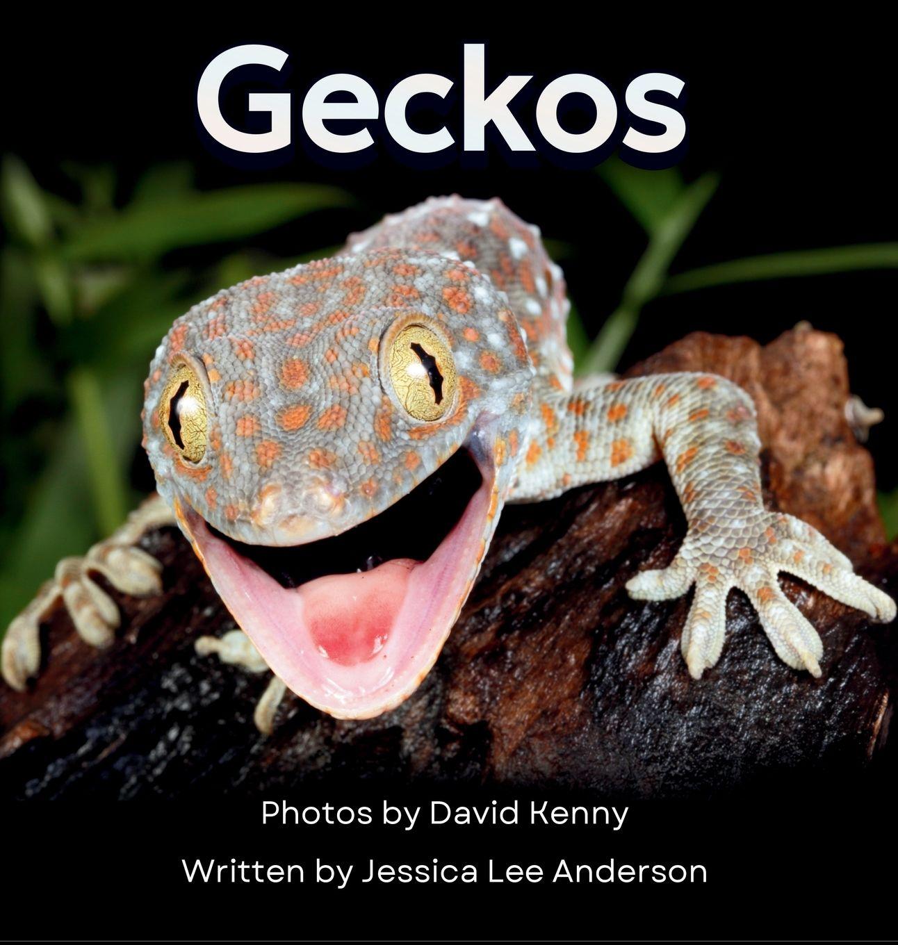 Kniha Geckos David Kenny