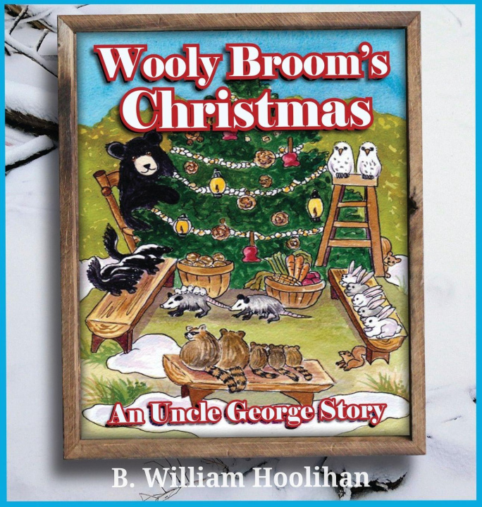 Knjiga Wooly Broom's Christmas B. William Hoolihan