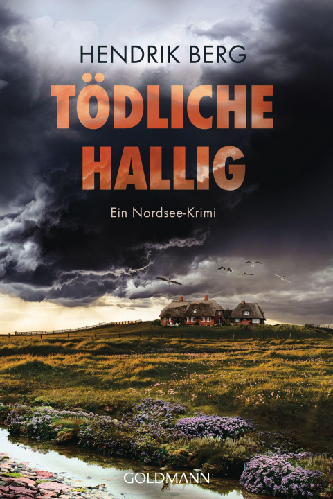 Kniha Tödliche Hallig Hendrik Berg