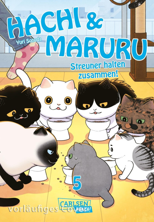 Knjiga Hachi & Maruru - Streuner halten zusammen! 5 Martin Gericke