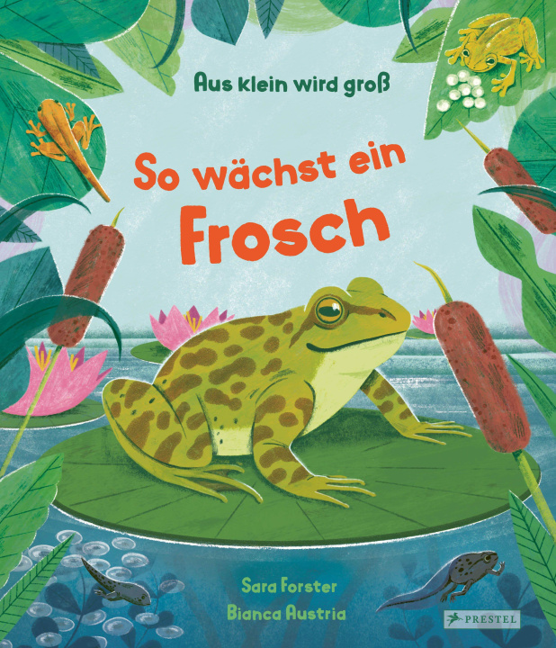 Книга Aus klein wird groß. So wächst ein Frosch Bianca Austria