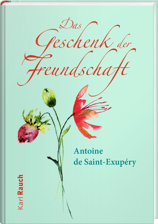 Kniha Das Geschenk der Freundschaft Antoine de Saint-Exupery