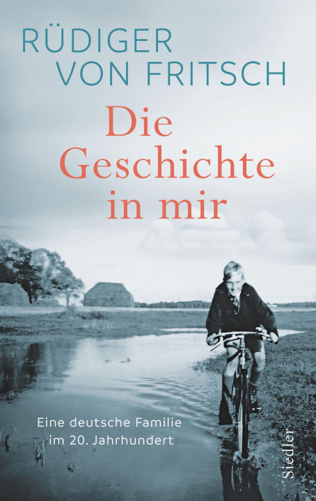 Knjiga Die Geschichte in mir Rüdiger von Fritsch