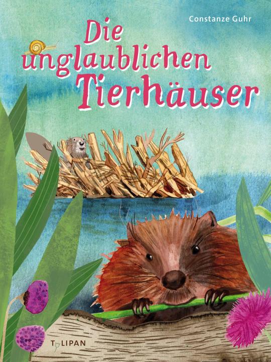 Kniha Die unglaublichen Tierhäuser Constanze Guhr