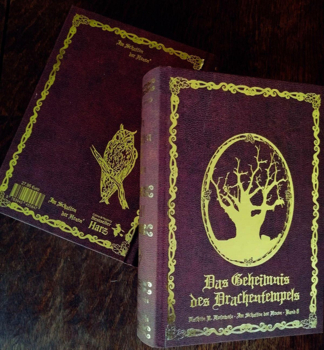 Kniha Im Schatten der Hexen VIII Kathrin Hotowetz