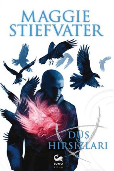 Книга Düs Hirsizlari 