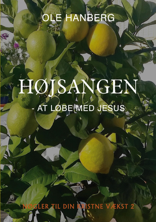 Kniha Højsangen 