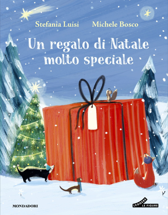Kniha regalo di Natale molto speciale Luisi Stefania