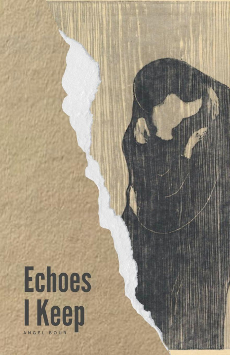 Kniha Echoes I Keep Angel Bour
