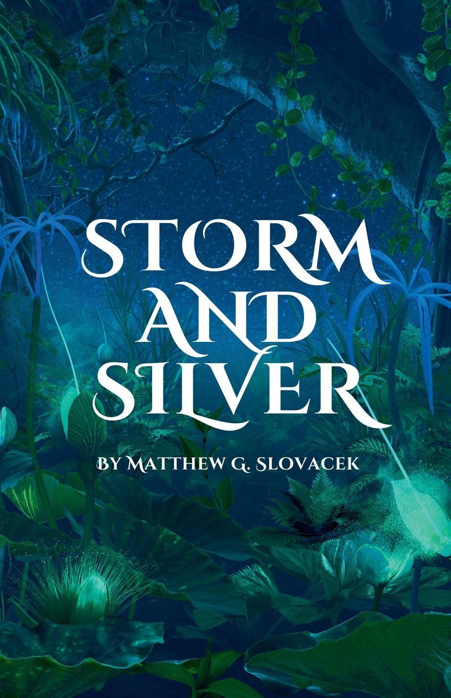 Knjiga Storm & Silver Matt G Slovacek