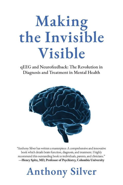 Kniha Making the Invisible Visible Anthony Silver