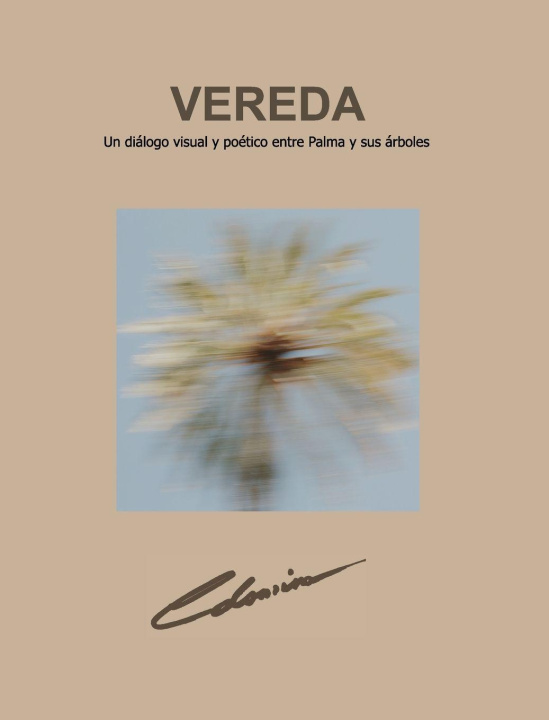Buch Vereda Miguel Morey Colomina