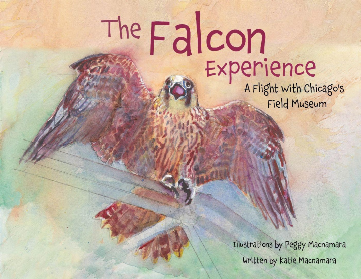 Carte The Falcon Experience Peggy Macnamara