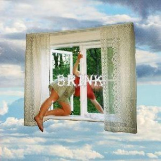Audio Brink Girl Scout