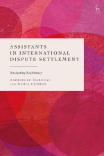 Legal Assistants in International Dispute Settlement