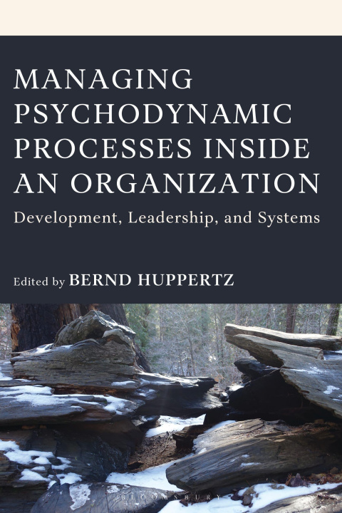 Kniha Managing Psychodynamic Processes Inside an Organization Bernd Huppertz