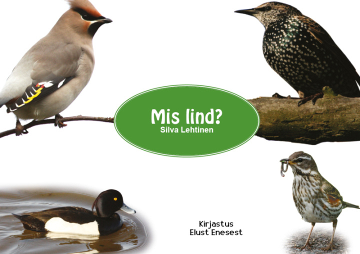 Kniha Mis lind? Silva Lehtinen