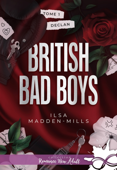 Kniha Declan Ilsa Madden-Mills