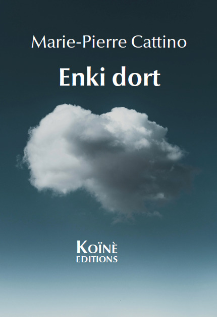 Boek Enki dort Cattino