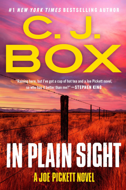 Kniha IN PLAIN SIGHT BOX C J
