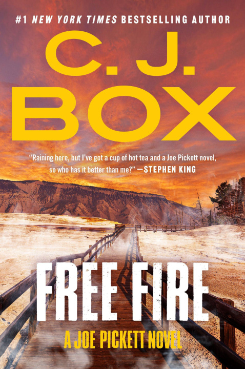 Kniha FREE FIRE BOX C J