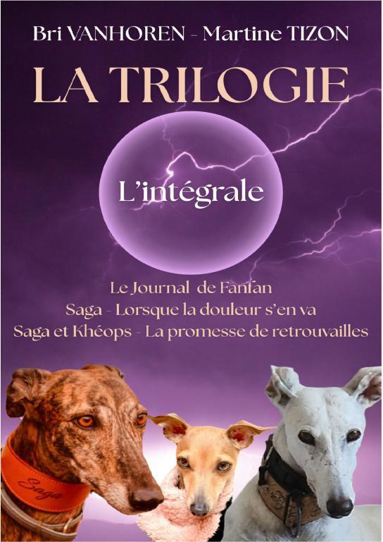 Kniha LA TRILOGIE VANHOREN et Mart