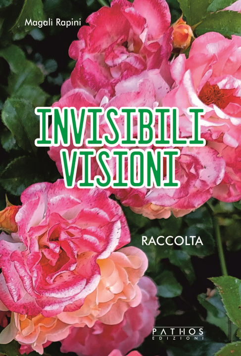 Boek Invisibili visioni Magalì Rapini
