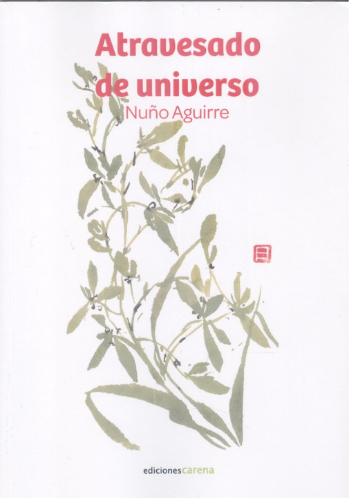 Knjiga Atravesado de universo Nuño Aguirre